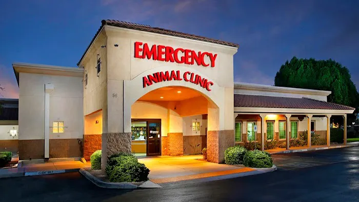 Arizona Veterinary Emergency & Critical Care Center (AVECCC) Picture 1