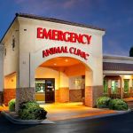 Arizona Veterinary Emergency & Critical Care Center (AVECCC)