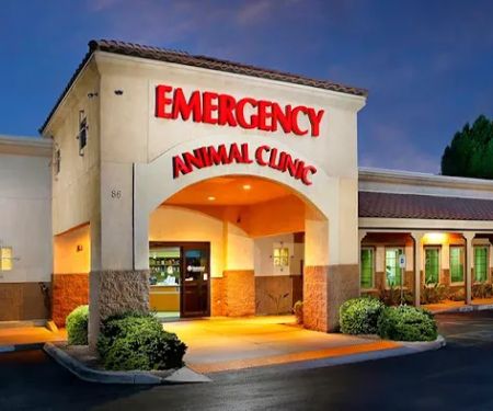 Arizona Veterinary Emergency & Critical Care Center (AVECCC)
