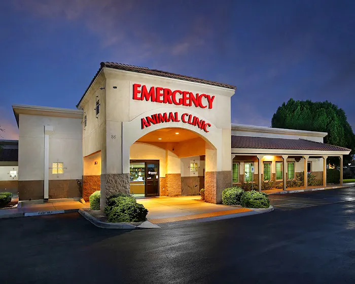 Arizona Veterinary Emergency & Critical Care Center (AVECCC) Picture 3