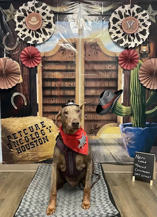 PetCure Oncology at Arizona Veterinary Oncology Picture 6