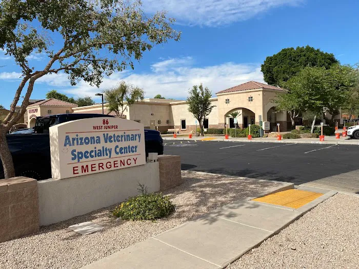 PetCure Oncology at Arizona Veterinary Oncology Picture 8