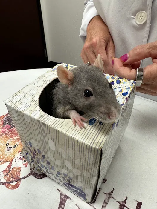 Little Critters Veterinary Hospital Picture 1