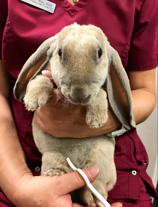 Little Critters Veterinary Hospital Picture 2