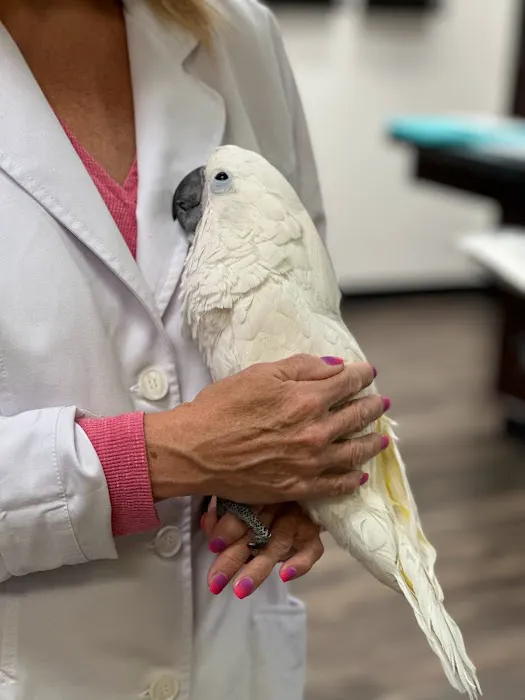 Little Critters Veterinary Hospital Picture 7