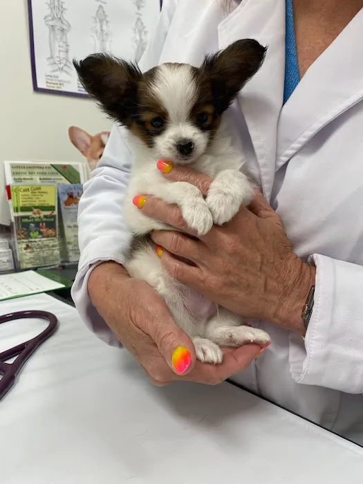 Little Critters Veterinary Hospital Picture 8