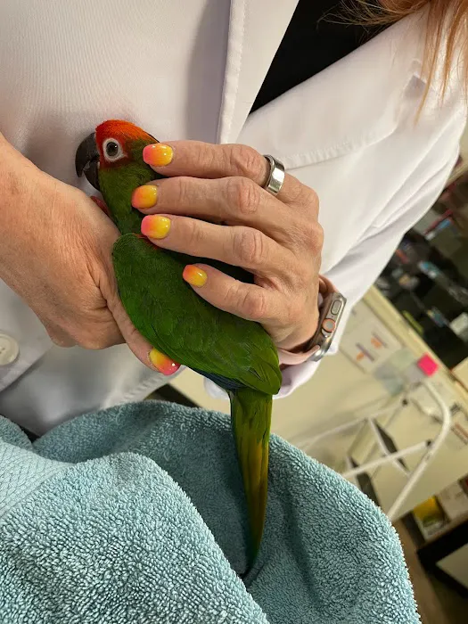 Little Critters Veterinary Hospital Picture 10