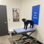 Walmart Pet Services