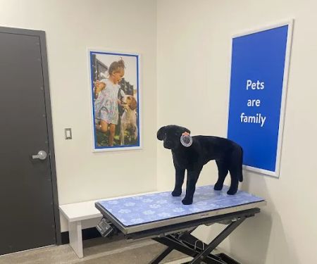 Walmart Pet Services