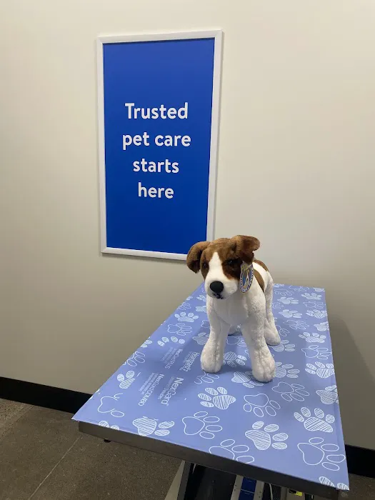 Walmart Pet Services Picture 5