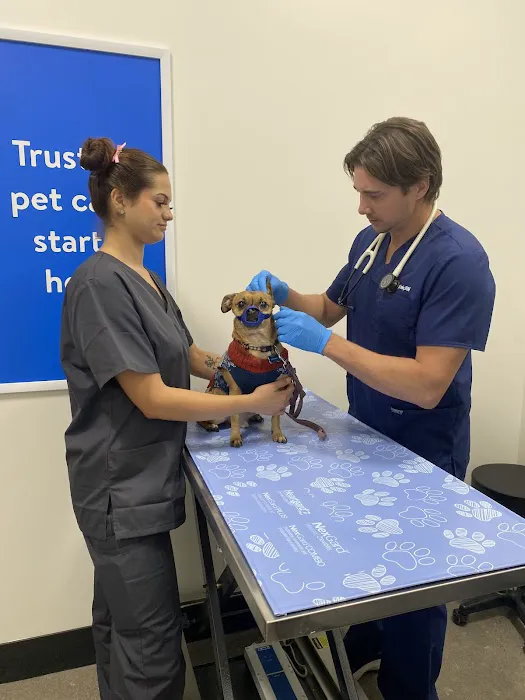 Walmart Pet Services Picture 9