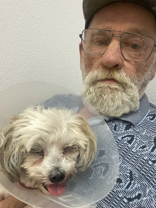Eye Care for Animals Picture 4