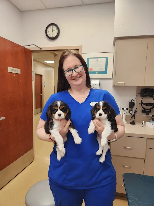 Eye Care for Animals Picture 7