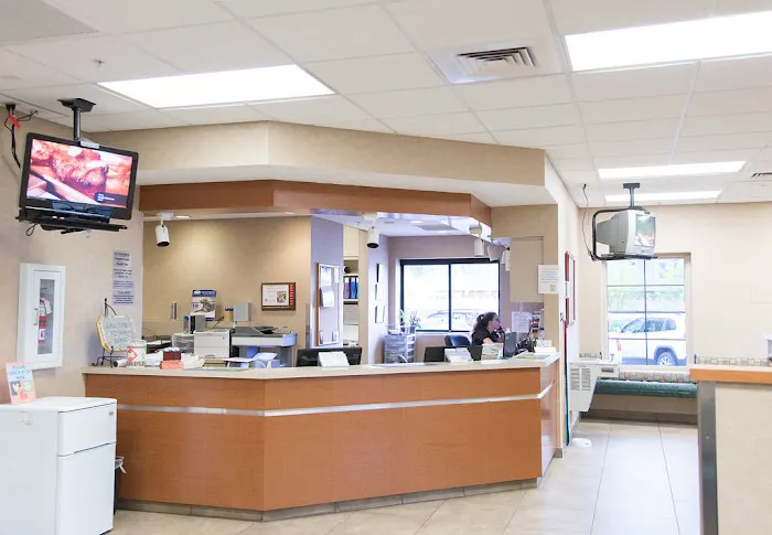 Arizona Veterinary Dental Specialists - Gilbert Picture 1