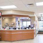 Arizona Veterinary Dental Specialists - Gilbert