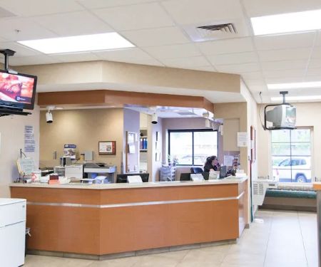 Arizona Veterinary Dental Specialists - Gilbert
