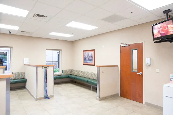 Arizona Veterinary Dental Specialists - Gilbert Picture 6