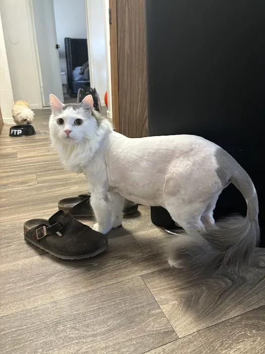 Animal Kindness Veterinary Hospital Picture 3