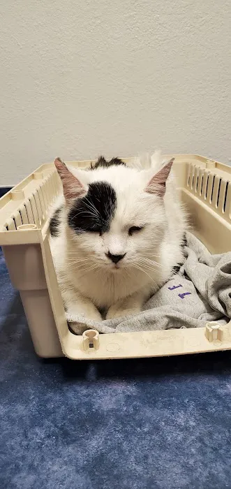 Animal Kindness Veterinary Hospital Picture 1