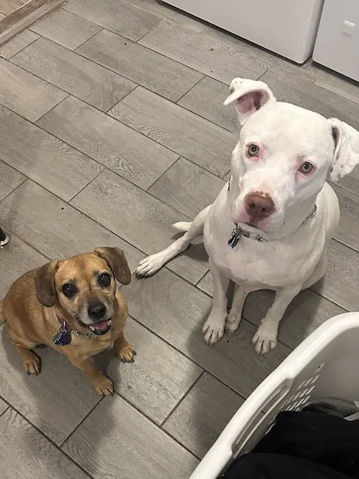 Animal Kindness Veterinary Hospital Picture 5