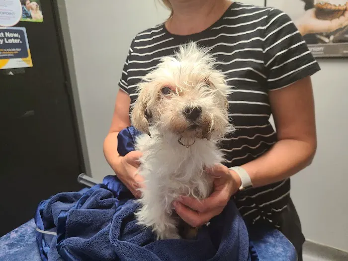 Animal Kindness Veterinary Hospital Picture 8