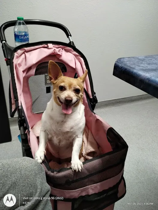 Animal Kindness Veterinary Hospital Picture 9