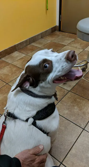 Banfield Pet Hospital Picture 6
