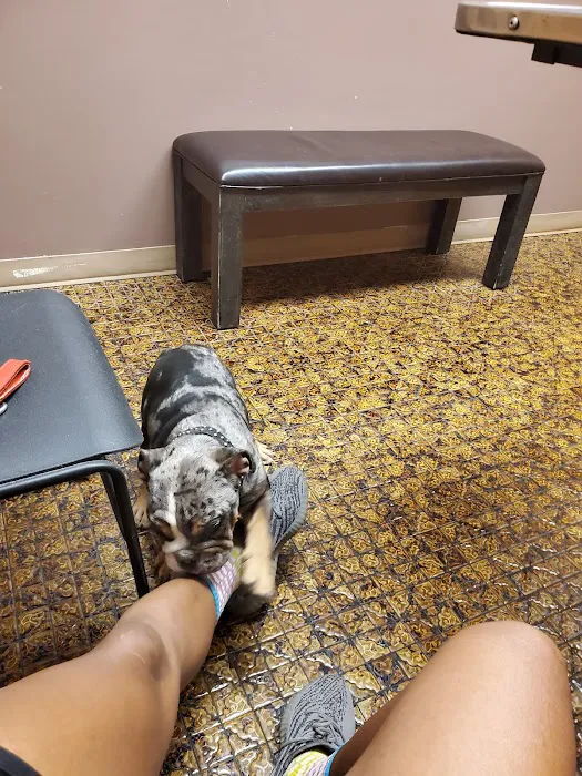 Northeast Animal Hospital Picture 1