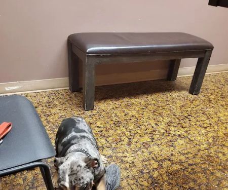 Northeast Animal Hospital