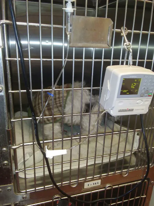 Northeast Animal Hospital Picture 6