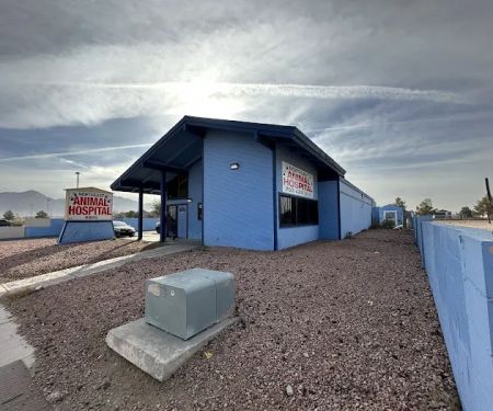 Northeast Animal Hospital