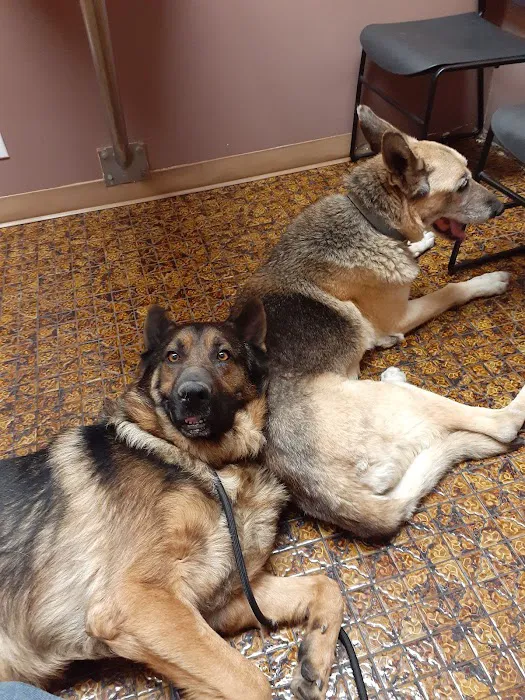 Northeast Animal Hospital Picture 4