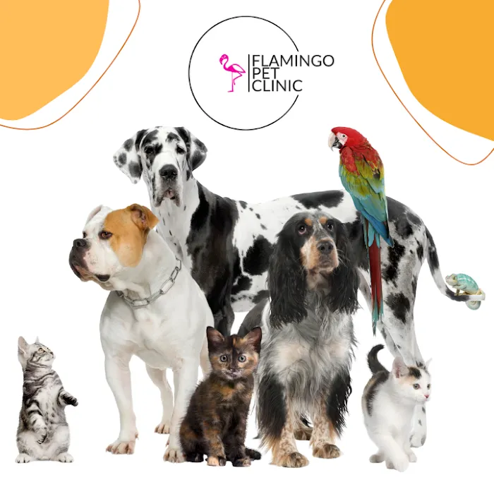 Flamingo Pet Clinic Picture 3