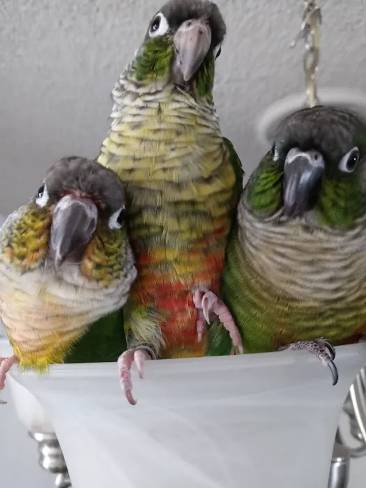 Flamingo Pet Clinic Picture 6
