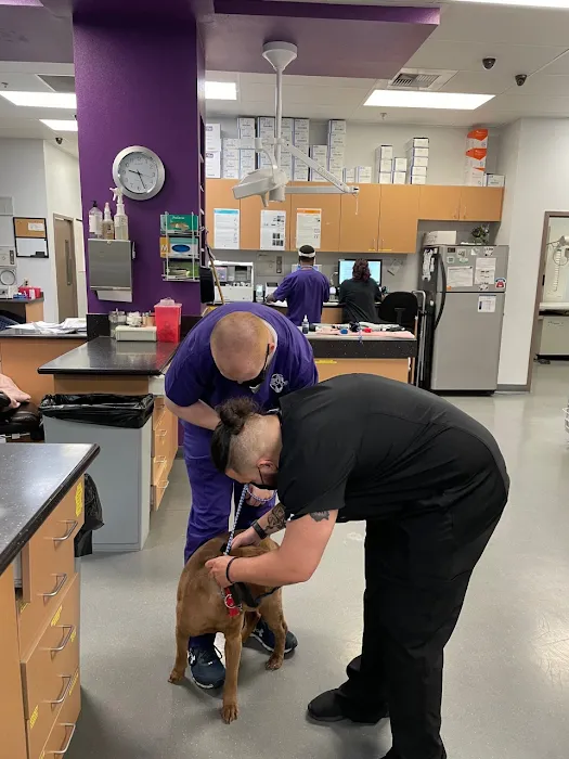 Animal Focus Vet - ER Picture 3