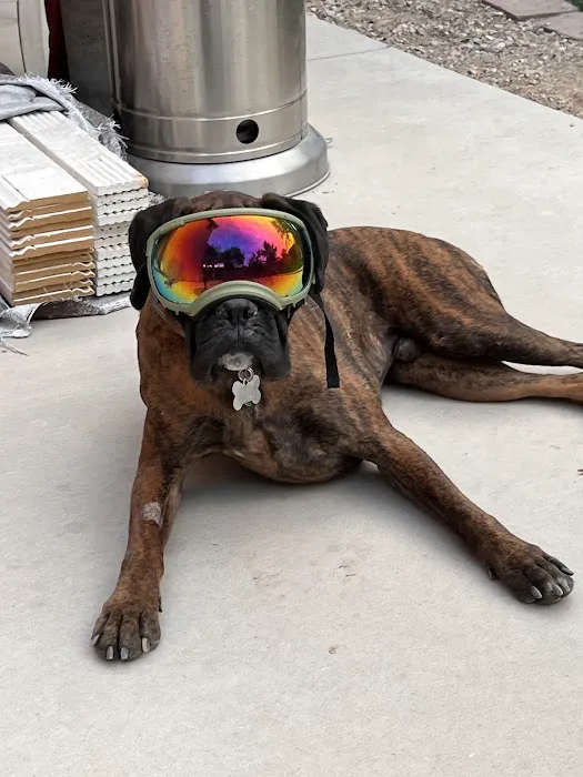 Eye Care for Animals - Las Vegas Picture 6