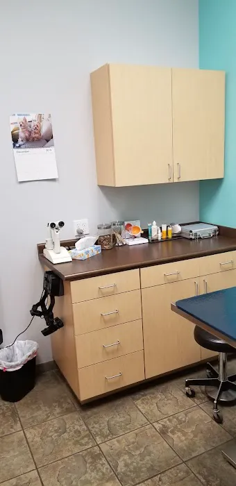 Eye Care for Animals - Las Vegas Picture 8