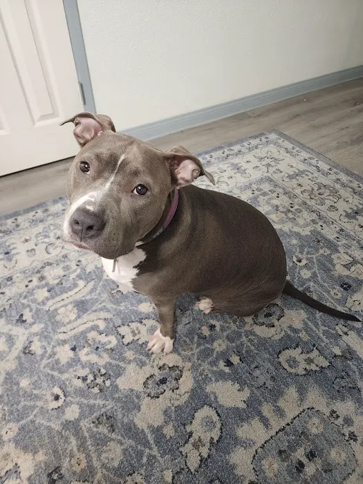 Mauer Animal Clinic Picture 2