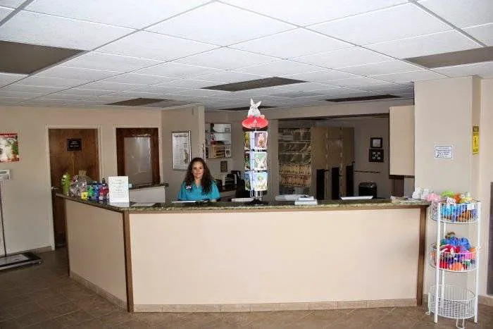 VCA Spring Mountain Animal Hospital Picture 1