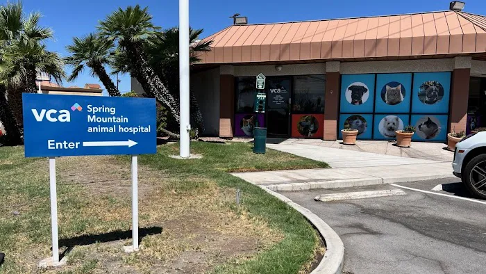 VCA Spring Mountain Animal Hospital Picture 3