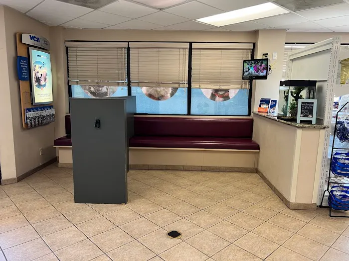 VCA Spring Mountain Animal Hospital Picture 5