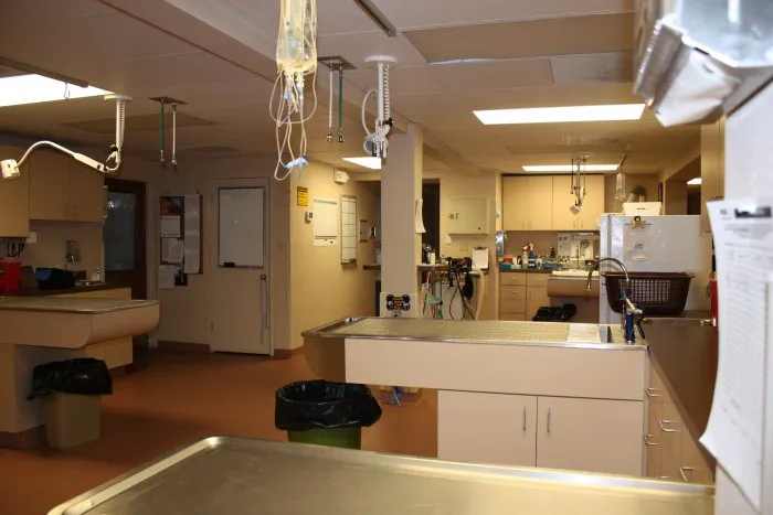 VCA Spring Mountain Animal Hospital Picture 7