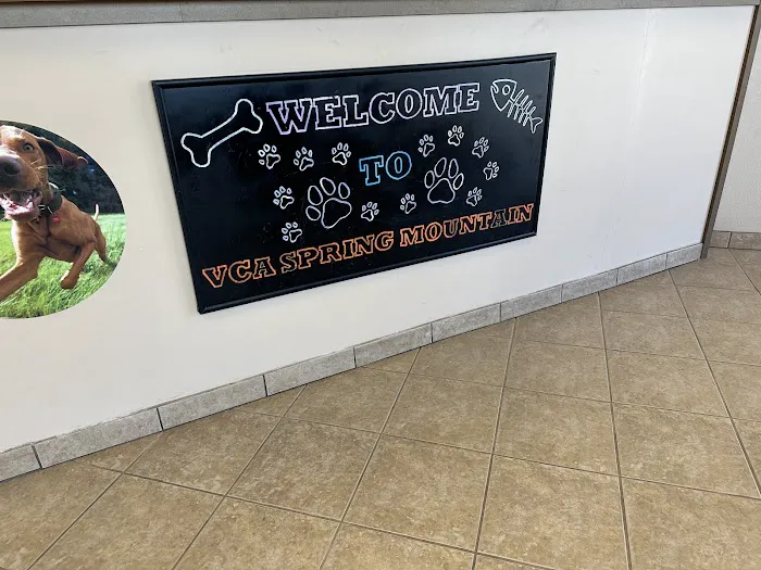 VCA Spring Mountain Animal Hospital Picture 10