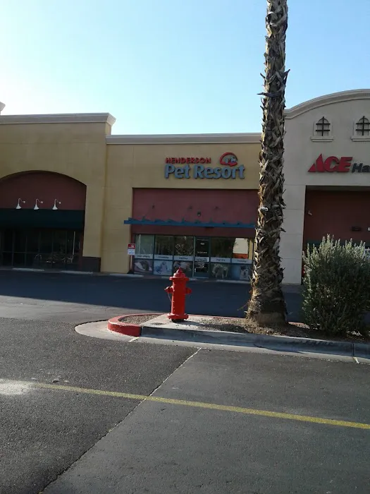 Pet Resort & Spa Picture 1