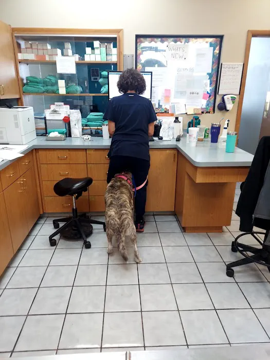 Banfield Pet Hospital Picture 5