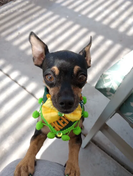 Banfield Pet Hospital Picture 10