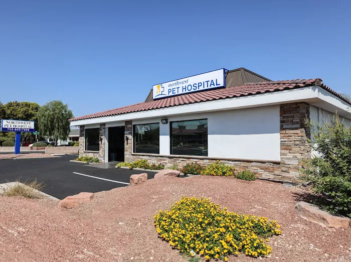 Northwest Pet Hospital Picture 2