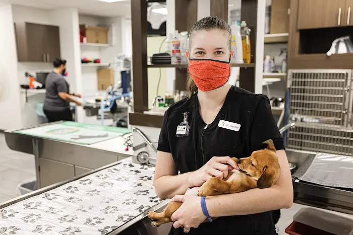 Northwest Pet Hospital Picture 3