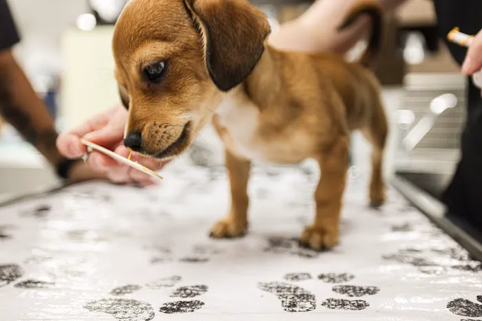 Northwest Pet Hospital Picture 5