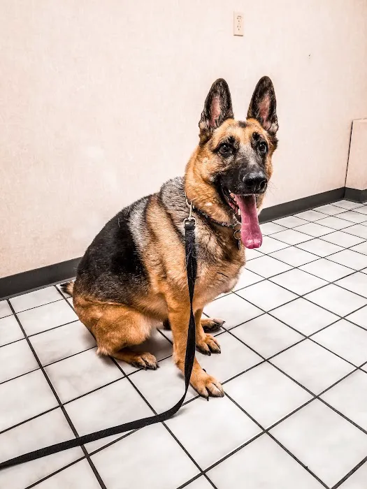 Tropicana Animal Hospital Picture 1
